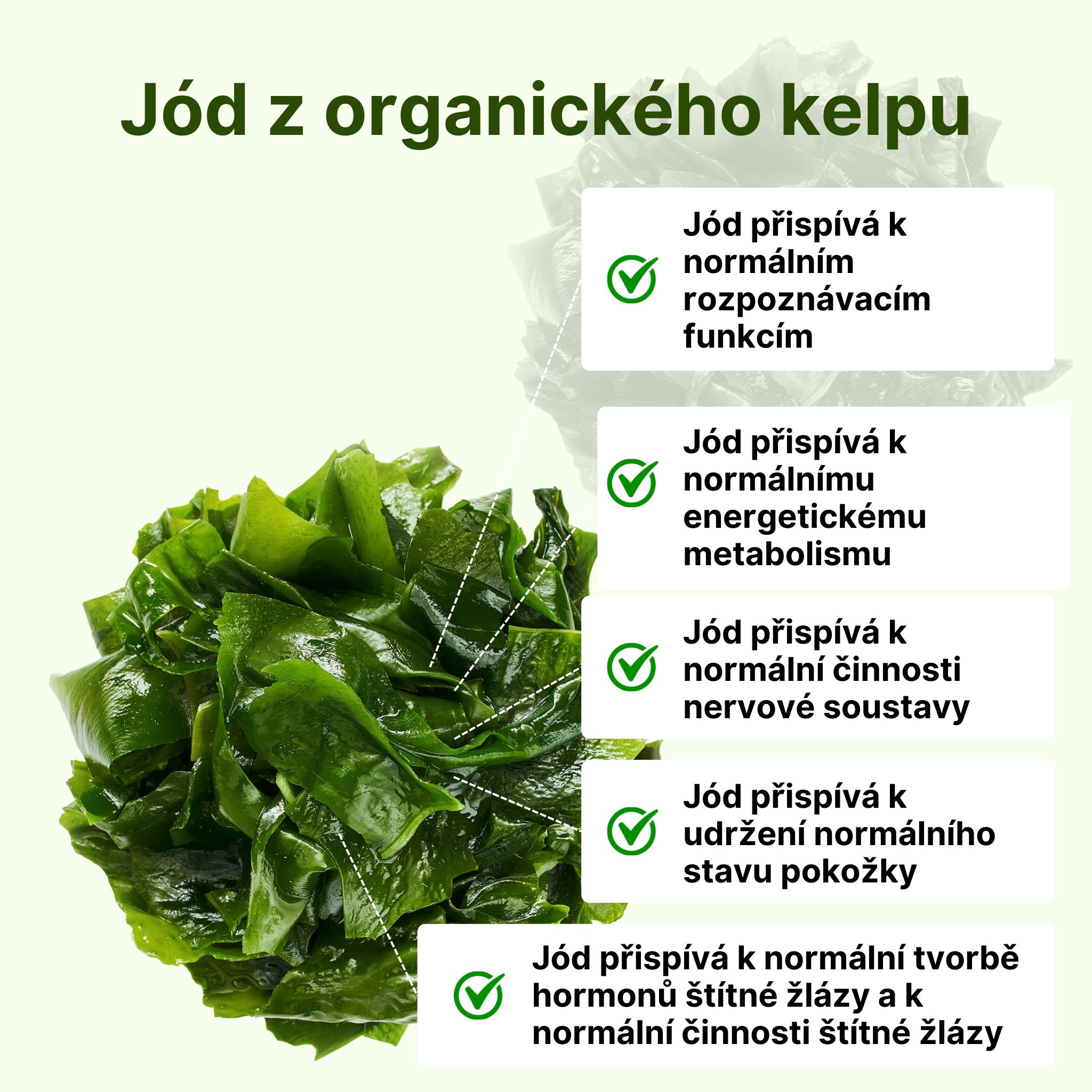 jod z organickeho kelpu